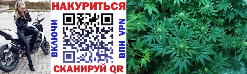 Бошки Шишки конопля  Абдулино 